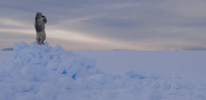 norbert pokorski grenlandia